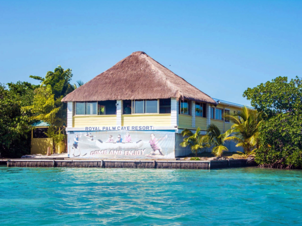 Royal Palm Island Private Island For Sale In Belize Finest International